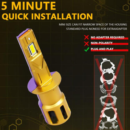 EDA008334603A_7.jpg@d51f3ad28f487dcba9fb0430ec1aa5af