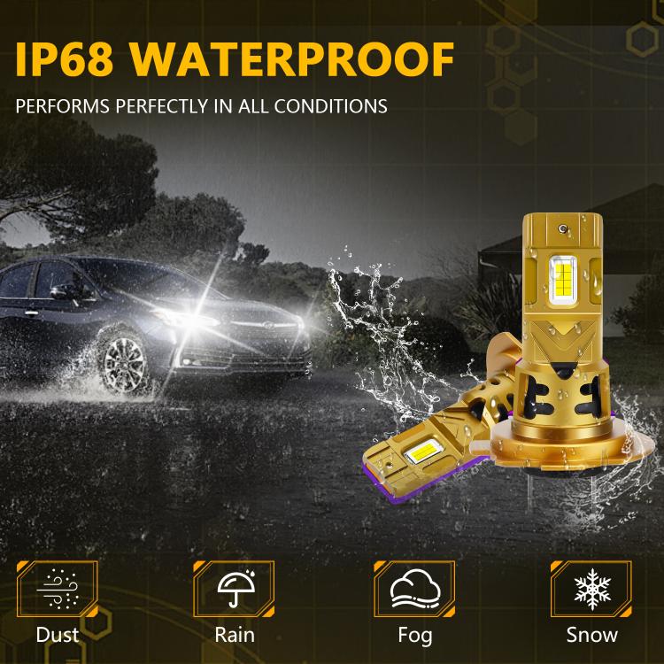 EDA008334605A_4.jpg@a34337bb006b66f1a0e5367aef062642