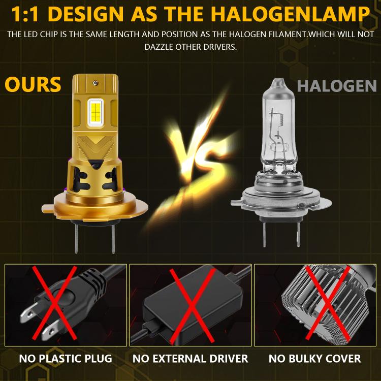 EDA008334605A_5.jpg@404412abe7ce5d9d2c75250164d2652c