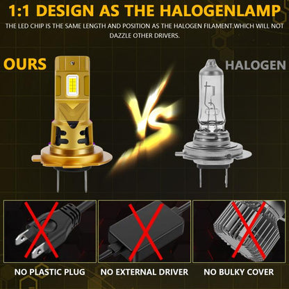 EDA008334605A_5.jpg@404412abe7ce5d9d2c75250164d2652c