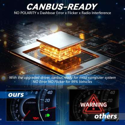 EDA008335306A_2.jpg@a298cf4ac7a106946a2926ebd8494c69