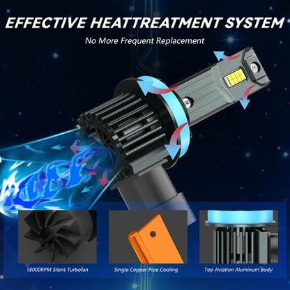 EDA008335306A_6.jpg@49defb48eb21dc9527305d2ffe6400bd