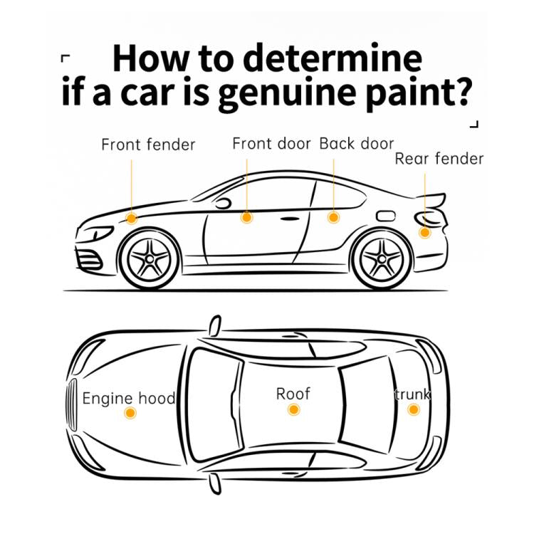 EDA0083575_14.jpg@5e12290b8cbd1f1b4e106beb16e0f821