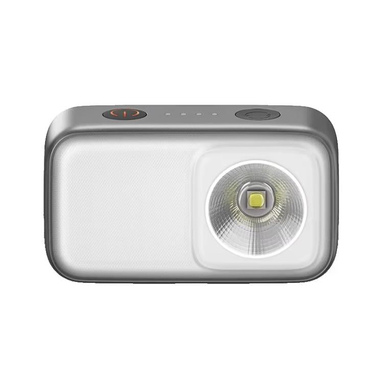 Outdoor multifunctional light with clear lens and LED, silver body
