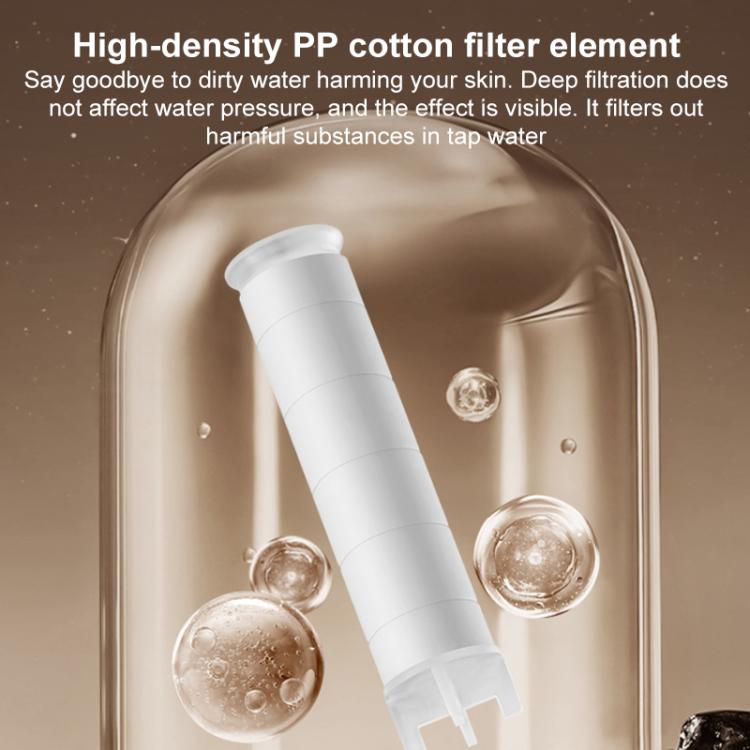 Filter cartridge inside transparent housing for a shower spray head