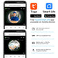 Smartphone app preview of panoramic Wi-Fi peephole doorbell video