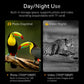Black night vision device display showing day photo and night video modes