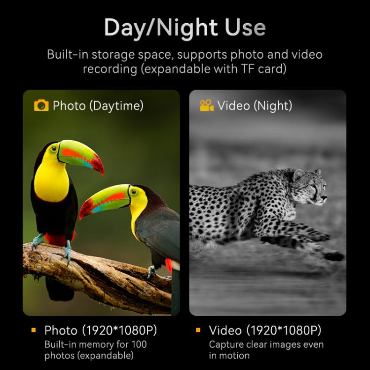 Black night vision device display showing day photo and night video modes