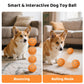 Orange smart pet toy ball with blue paw pattern near a dog on a rug