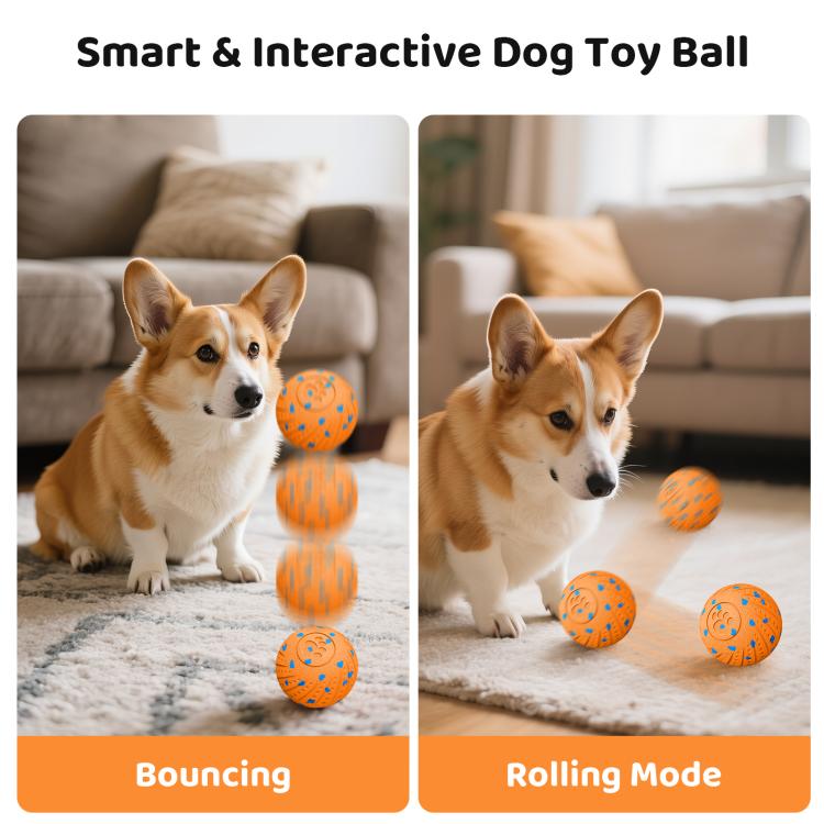 Orange smart pet toy ball with blue paw pattern near a dog on a rug