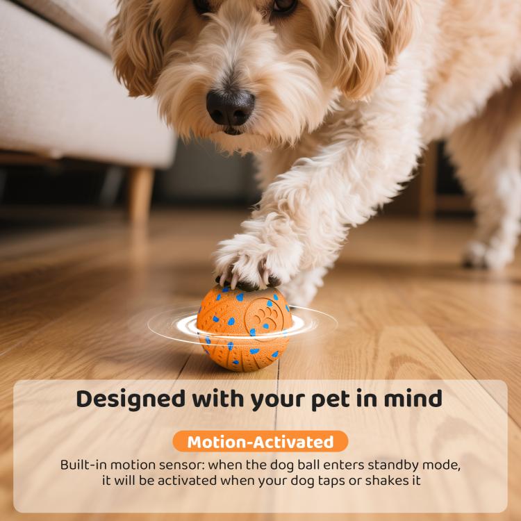 Orange smart pet toy ball with blue paw pattern as a dog nudges it