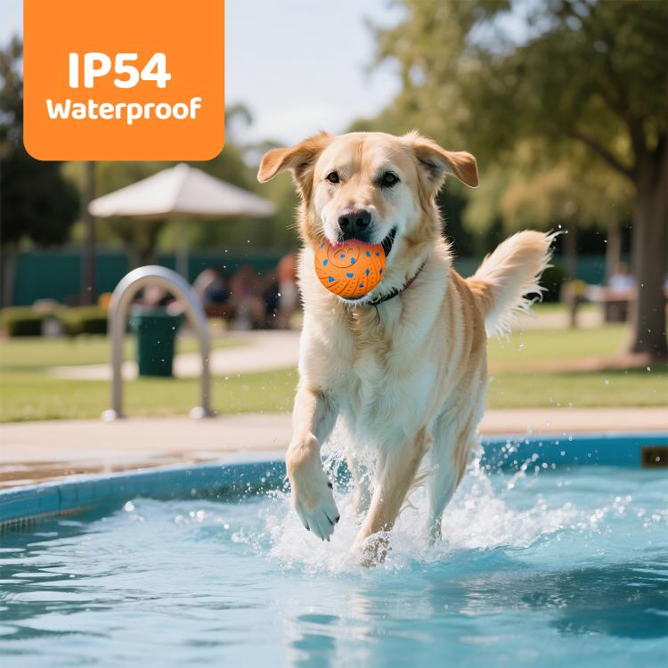 Dog running through splashing water with an orange smart pet toy ball with blue paw pattern