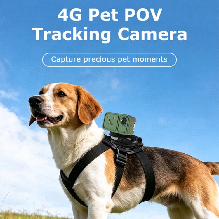 Green pet POV GPS camera on a dog harness, round lens and side red button