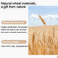 Wheat straw material close-up with golden wheat stalks