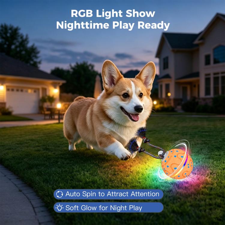 O21 Smart Automatic Pet Toy Ball Dog Training with Light & Sound & Rope, O21