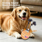 Orange dog toy ball with rope brush attachment for playful spinning and sound