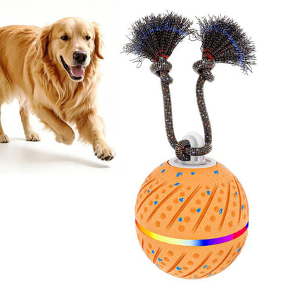 Interactive automatic dog toy ball with rope, orange patterned shell and blue trim