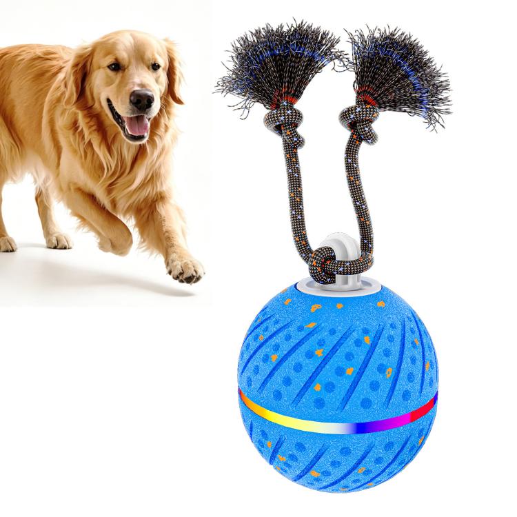Blue automatic pet toy ball with rope handles, light and sound features