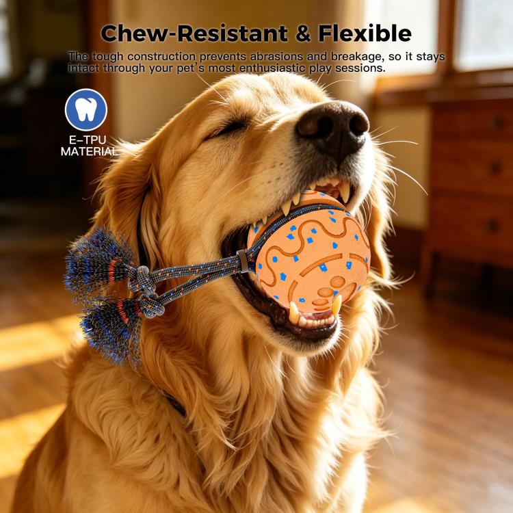 Chew-resistant dog toy ball on rope with blue bristle tassels, orange patterned ball