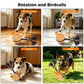 Orange fabric dog training ball toy with rope handle and blue bristle attachments