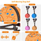 Orange fabric dog training ball toy with rope handle and blue bristle attachments