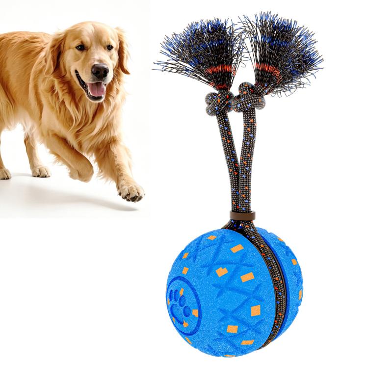 Blue spiky rope automatic pet toy ball with textured surface