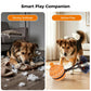 Orange self-moving dog ball toy with flexible rope and blue-and-black bristled whiskers