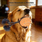Orange chew-resistant dog ball toy with flexible rope and blue-and-black bristled ends