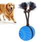Blue automatic pet toy ball with rope and spiky brush attachment