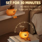 ZHL003 Magic Pumpkin Silicone Night Light