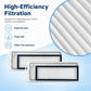 Pair of pleated magnetic vacuum filters with white filter media in plastic holders