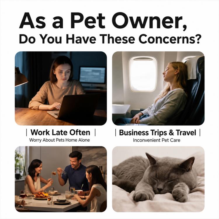 Infographic about pet owner concerns with photos; no product details visible