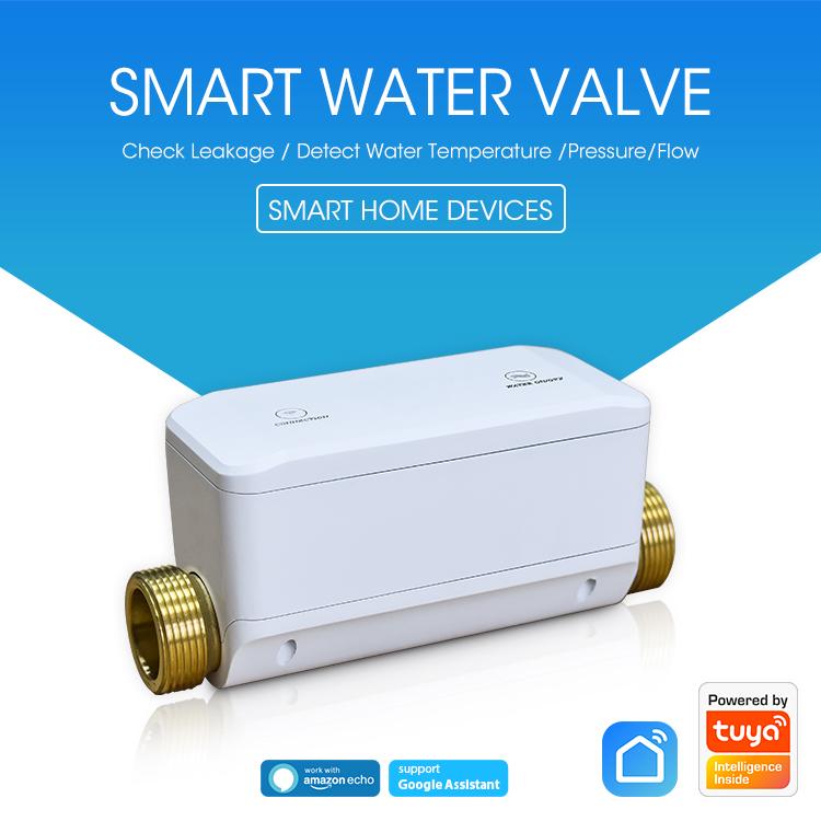White smart water valve with brass threaded ports and top status icons