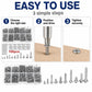 M4 Self-tapping Screw 100 PCS /  Set