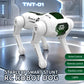 JJR/C R42 Star Leap Smart Stunt Remote Control Robot Dog