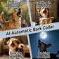 Anti-barking dog training collar worn on a dog with a black nylon strap