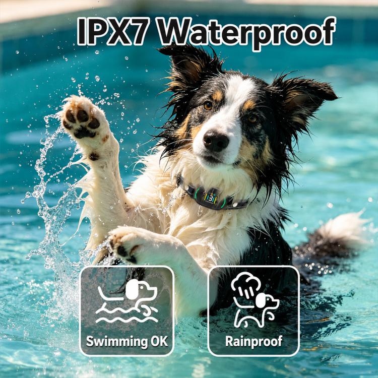 Waterproof anti-barking dog training collar with black strap and LED status lights