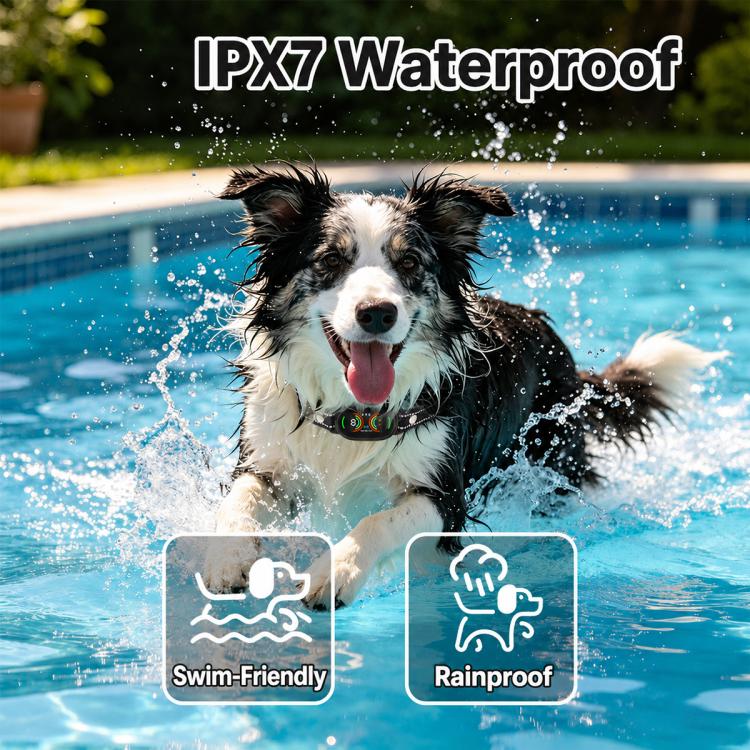 PaiPaitek PD215 AI Intelligent Anti Barking Dog Training Collar, PD215