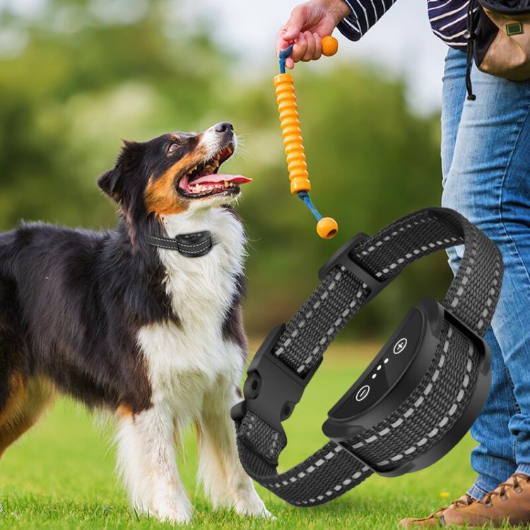 PaiPaitek PD258B Auto Anti Barking Dog Training Collar, PD258B