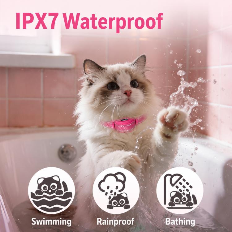 PaiPaitek PD558V Automatic Smart Anti Barking Cat Training Collar, PD558V