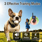 Anti-bark training dog collar on a dog with remote controller showing a blue screen display