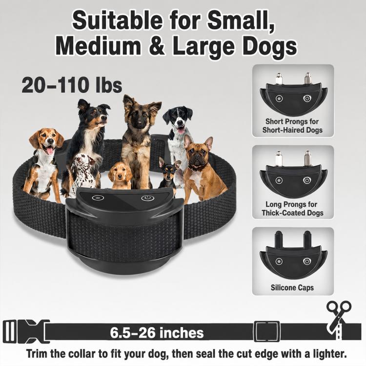 Anti-bark training collar with adjustable strap and prong caps for multiple dog sizes