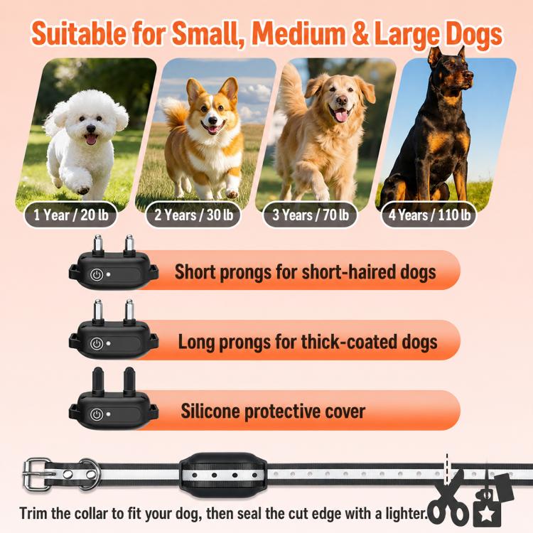 Adjustable dog training collar prongs with protective silicone cover and sizing guide