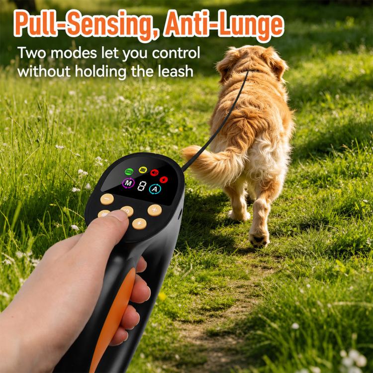 Smart anti-tug dog leash remote controller with orange grip and strap collar for training