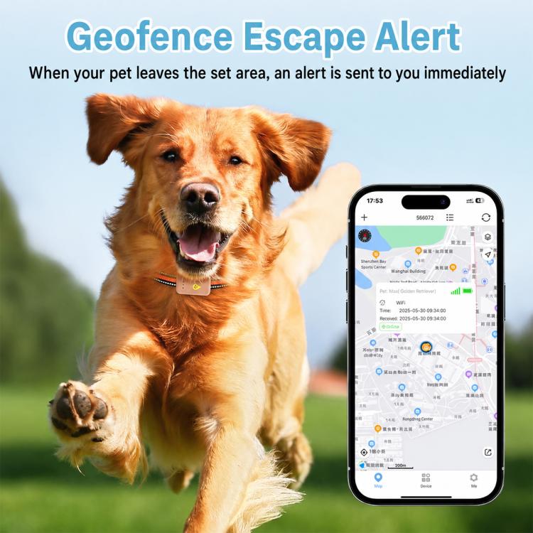 PaiPaitek PD68 Smart GPS Pet Tracker Anti-Loss Collar, EU / Asia Version, US Version
