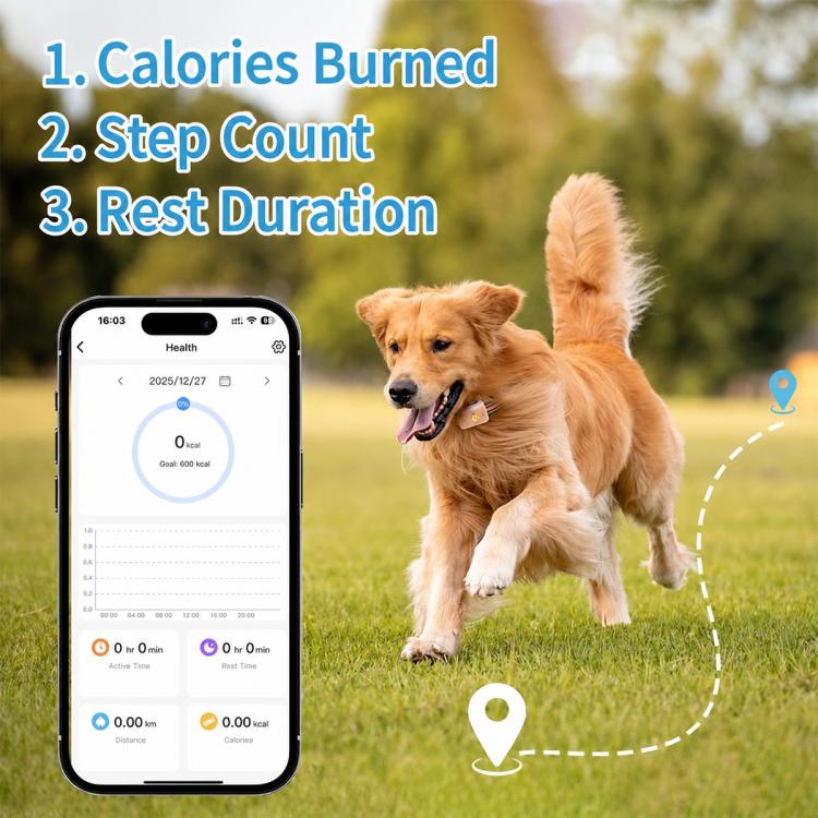 PaiPaitek PD68 Smart GPS Pet Tracker Anti-Loss Collar, EU / Asia Version, US Version