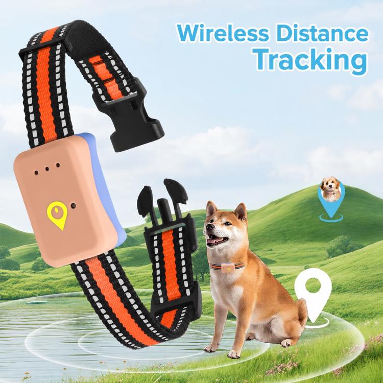 PaiPaitek PD68 Smart GPS Pet Tracker Anti-Loss Collar, EU / Asia Version, US Version