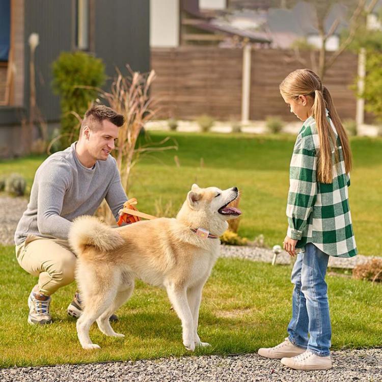 PaiPaitek PD68 Smart GPS Pet Tracker Anti-Loss Collar, EU / Asia Version, US Version