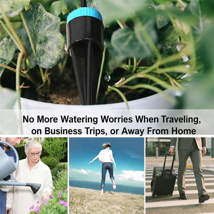 Black drip irrigation stake on plant soil with blue-ring connector and tubing