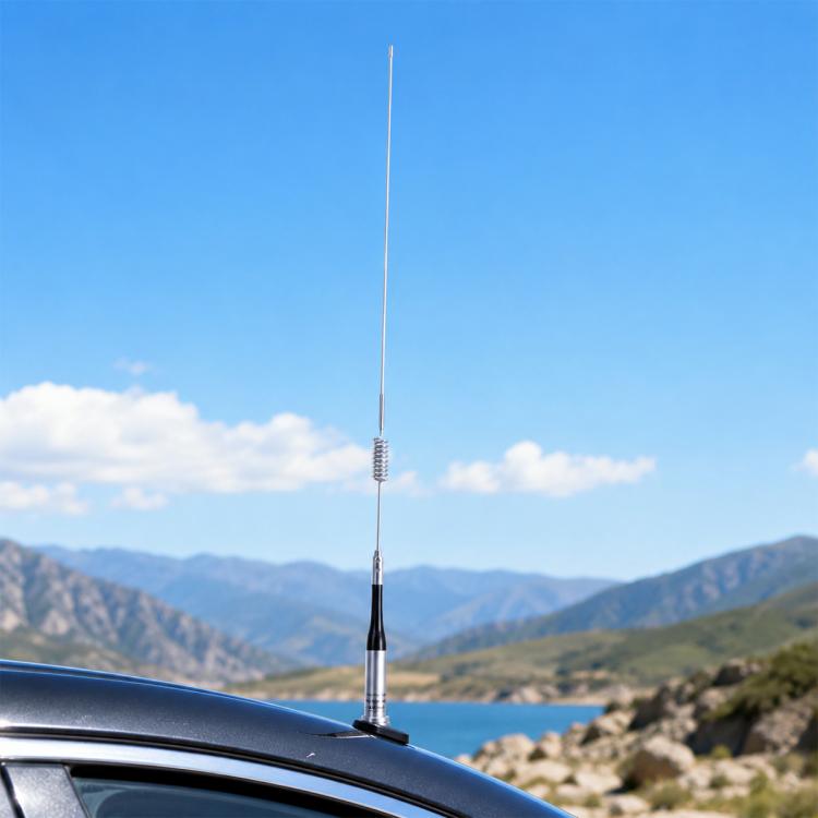 Black-and-silver vehicle roof antenna with long whip and spring base.